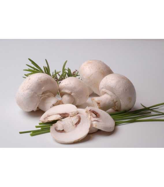 Champignons de Paris surgelés