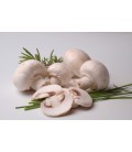 Champignons de Paris surgelés