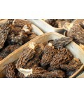 Morilles séchées / Morcheln