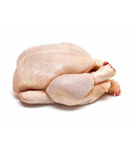 Poulet surgelé
